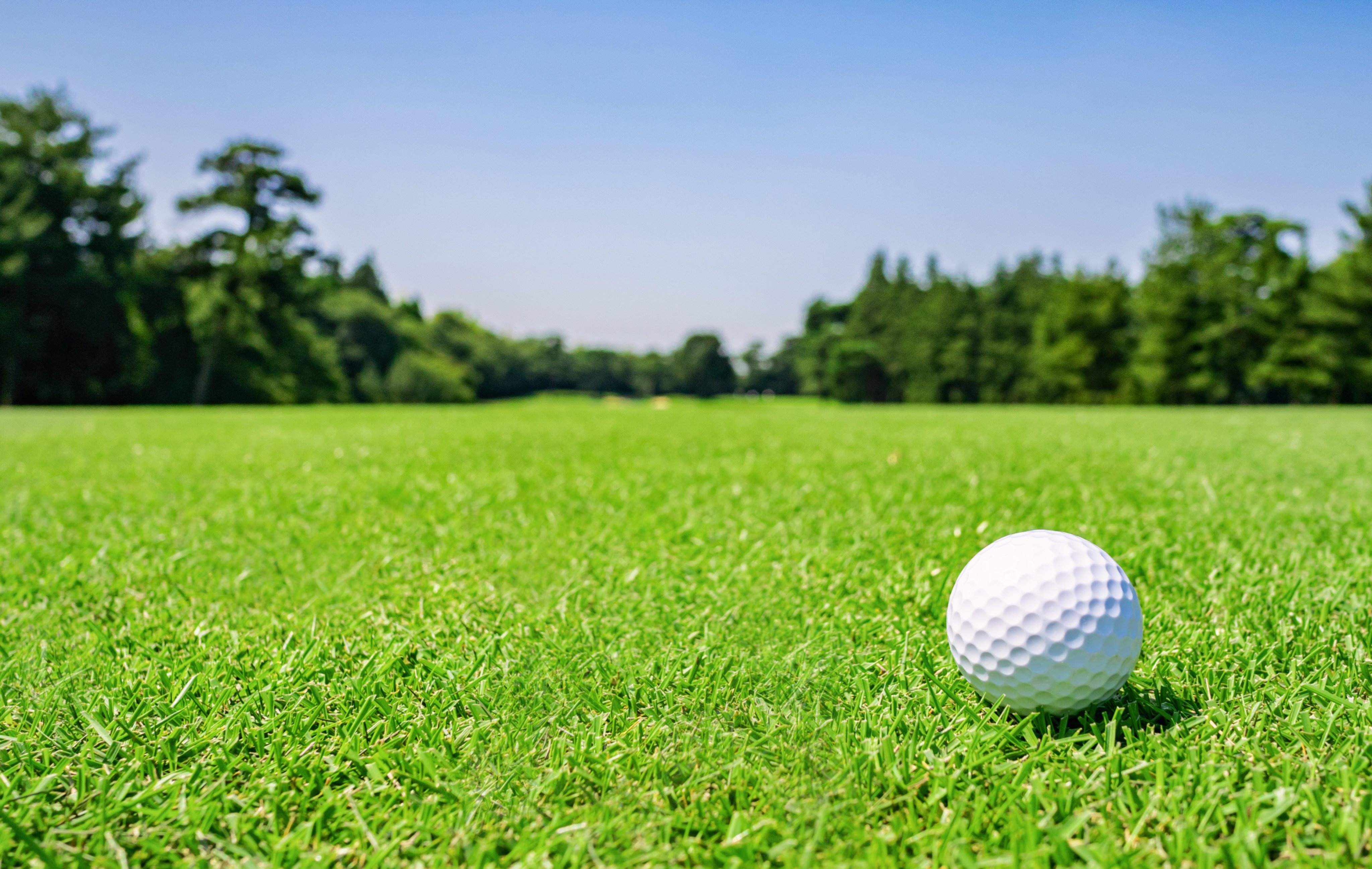 MerryLand Golf Club - san golf hoi tu nhieu yeu to chuan quoc te hinh anh