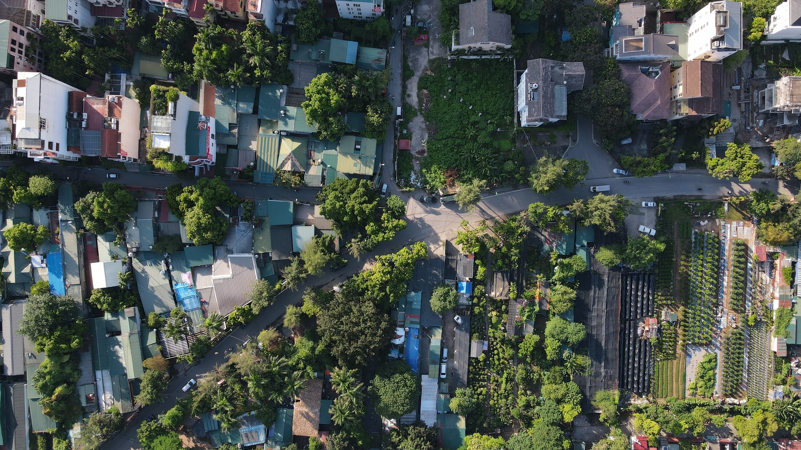 Thieu duong o ban dao dep nhat Ha Noi hinh anh