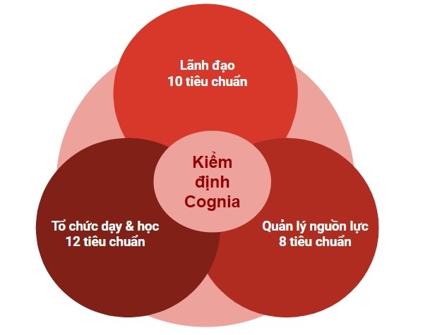 Kiem dinh giao duc anh 4