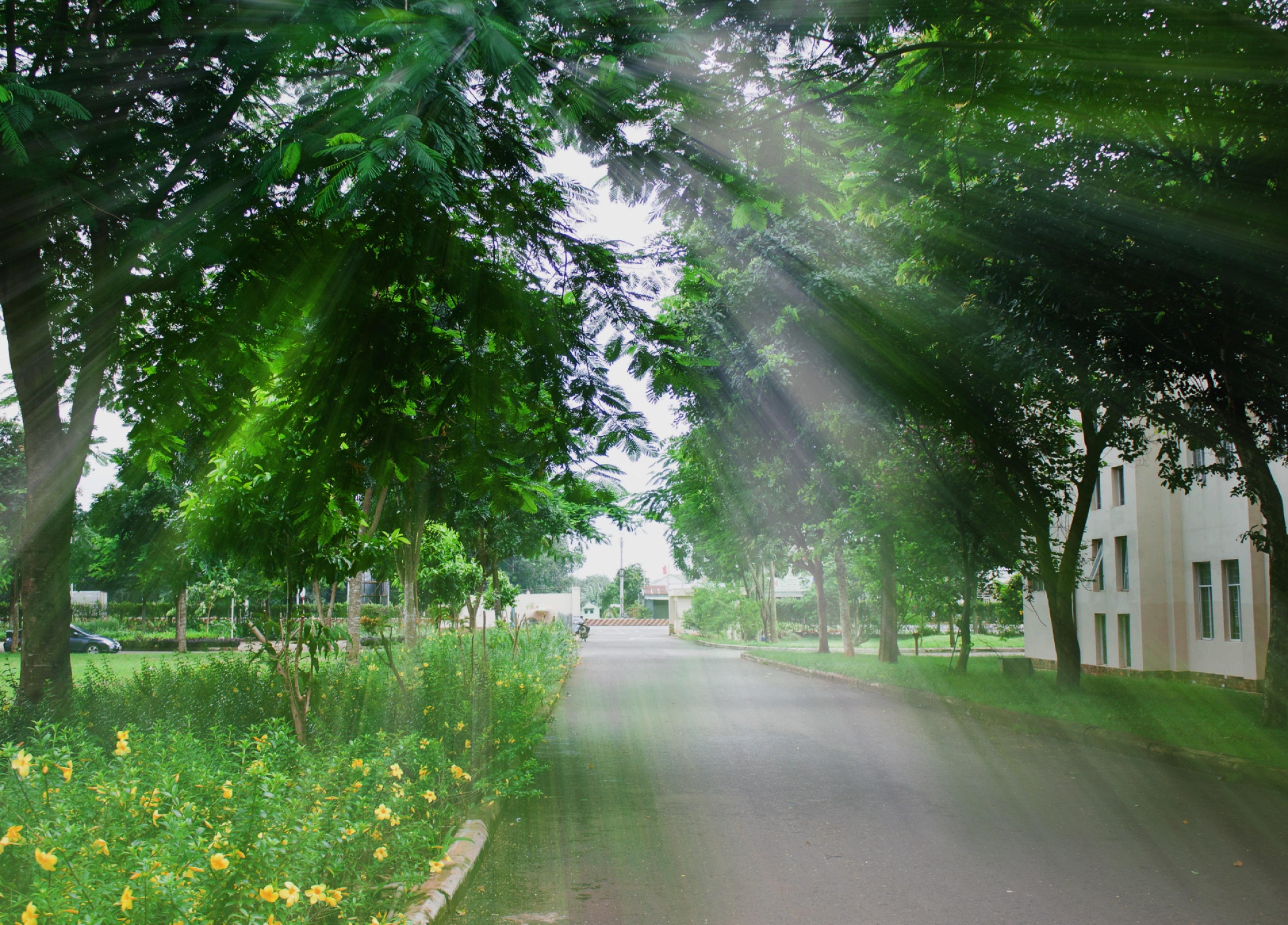 Cong nghe Mien Dong,  MIT University Vietnam anh 2