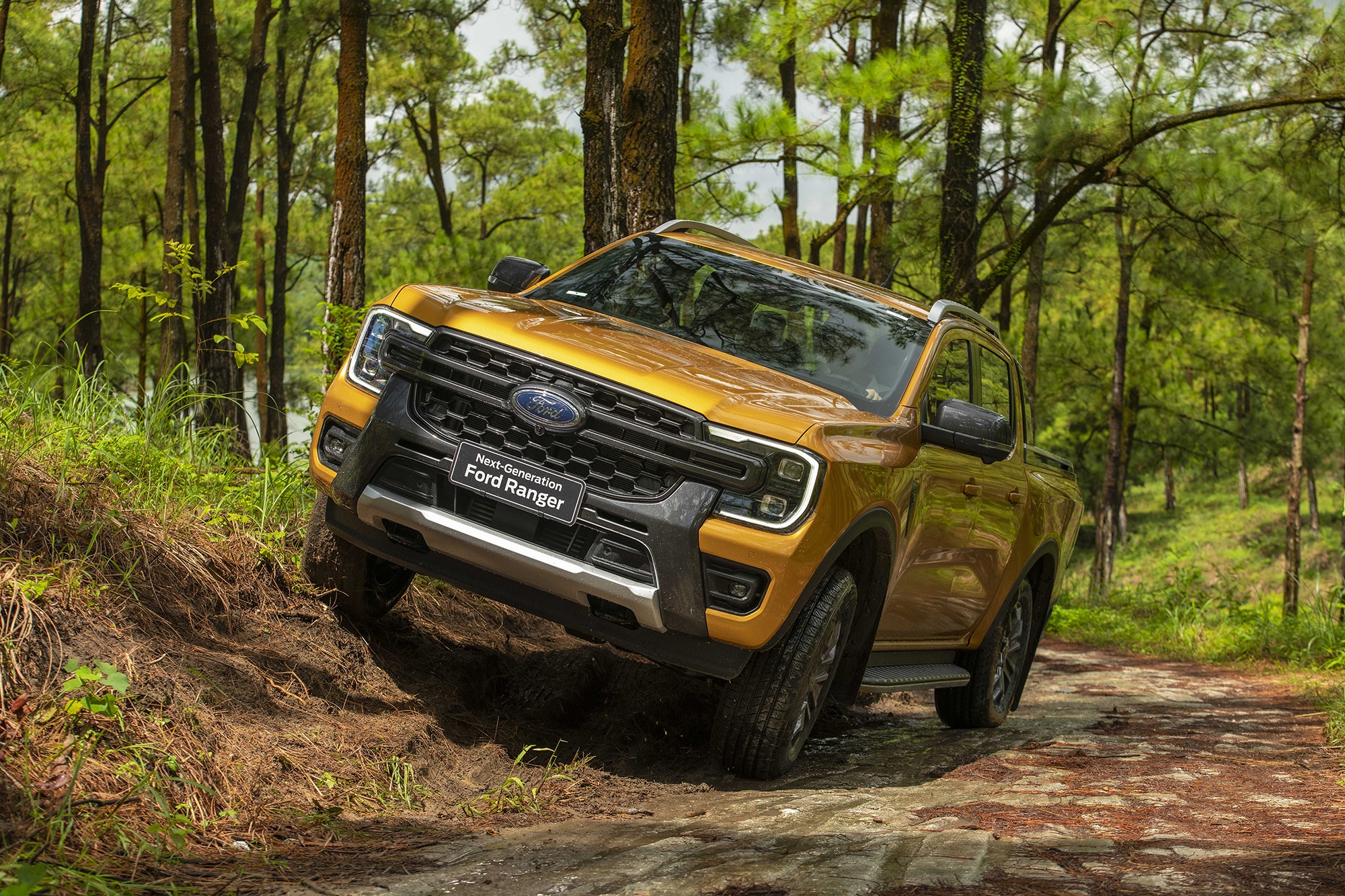 Ford Ranger 2022 ra mat anh 21