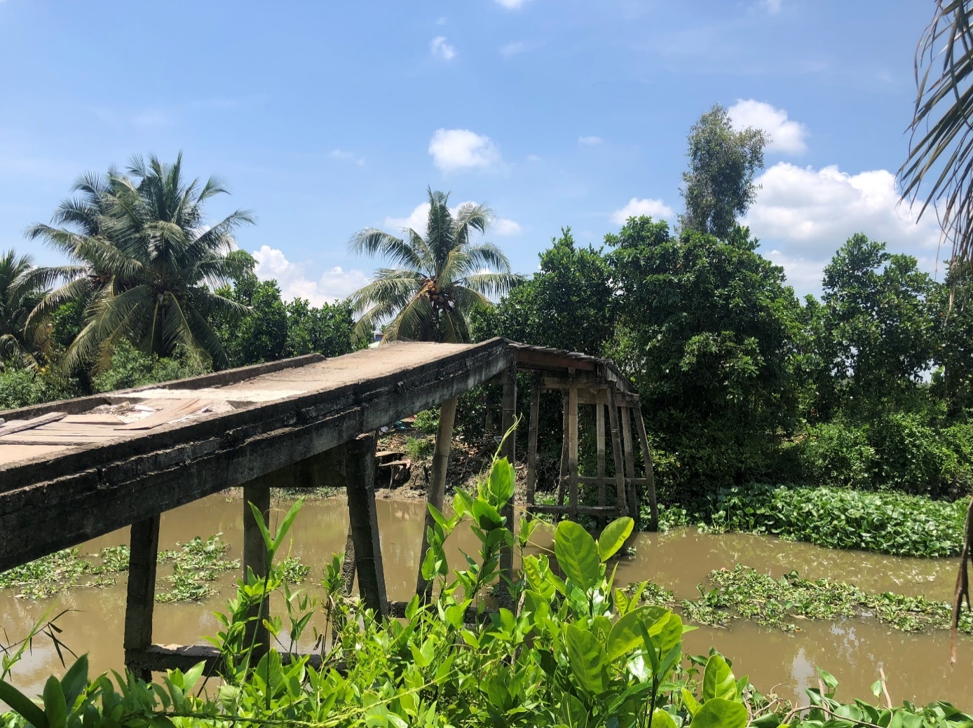 Quy Nam Phuong anh 1