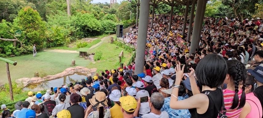 Quoc khanh 2/9 anh 17