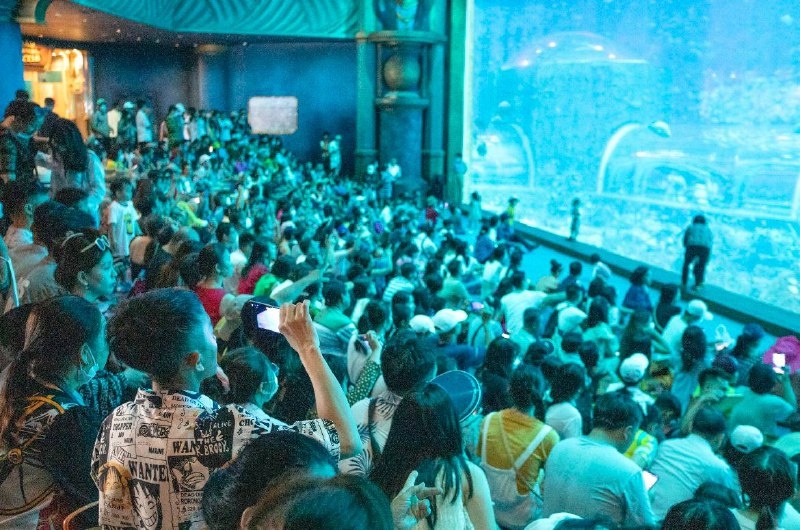 Quoc khanh 2/9 anh 6