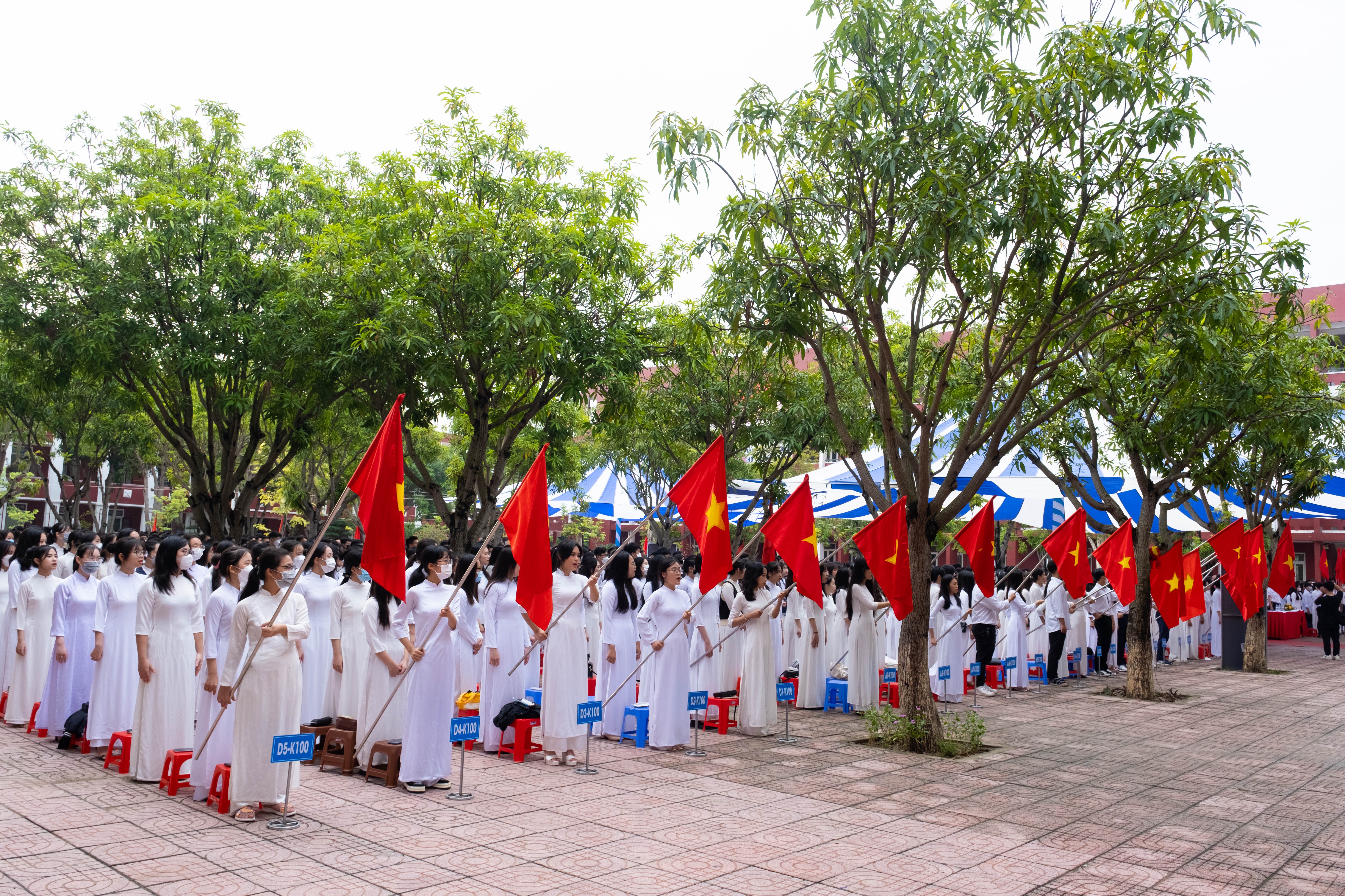 TH School thanh pho Vinh anh 2