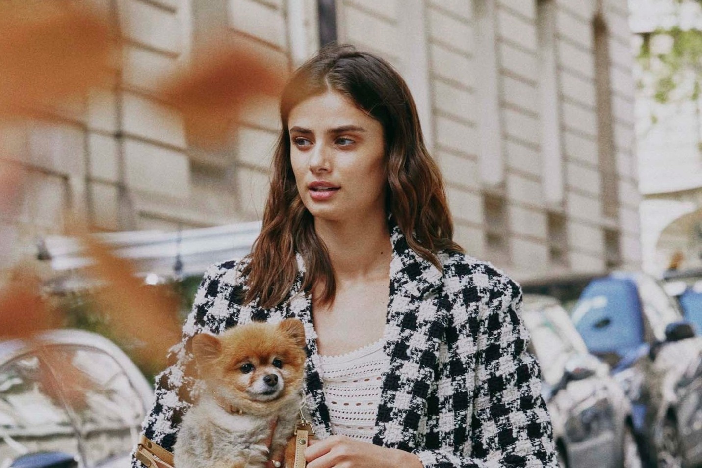 Chan dai Taylor Hill lam chu moi khoanh khac doi thuong hinh anh