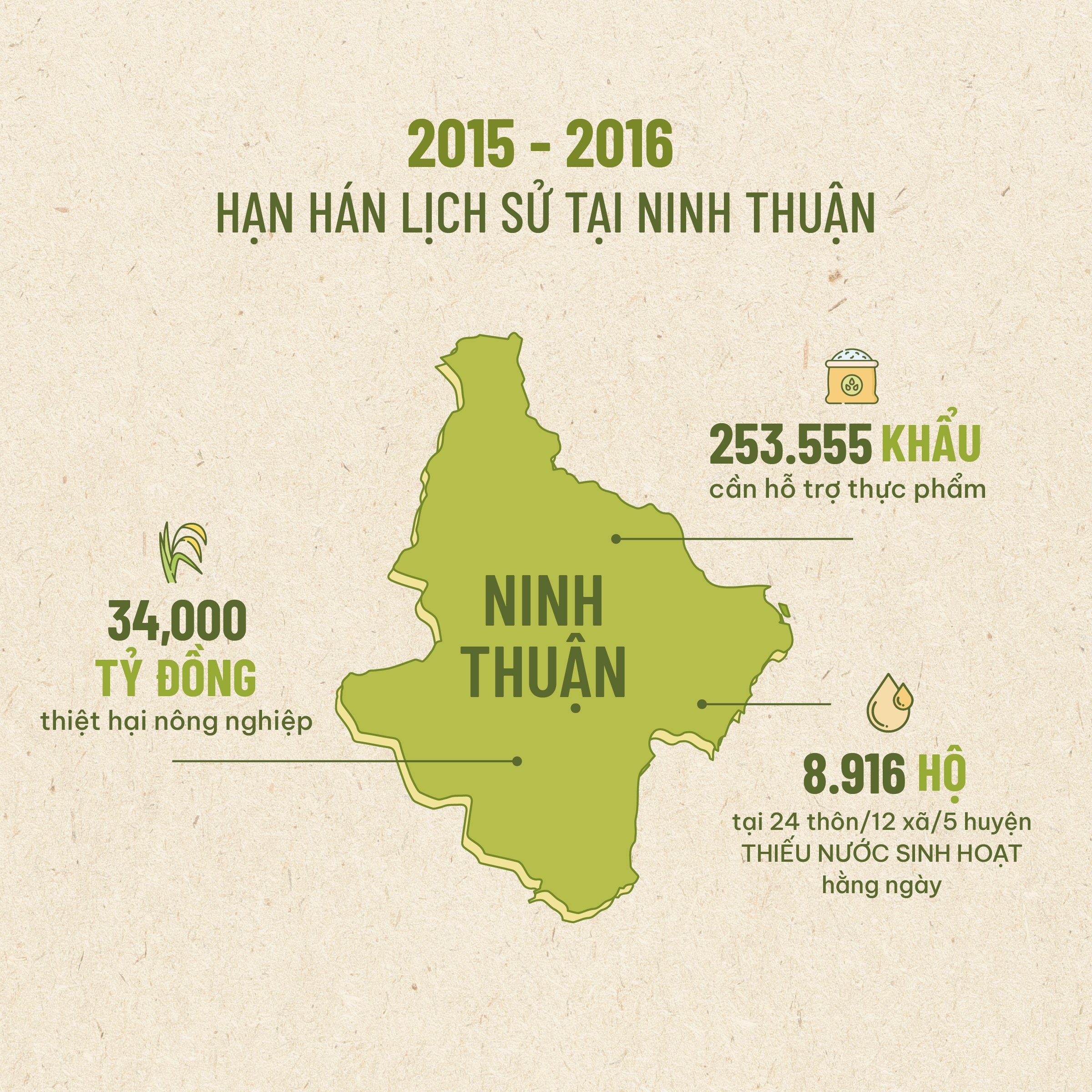 Trong rung Ninh Thuan anh 1