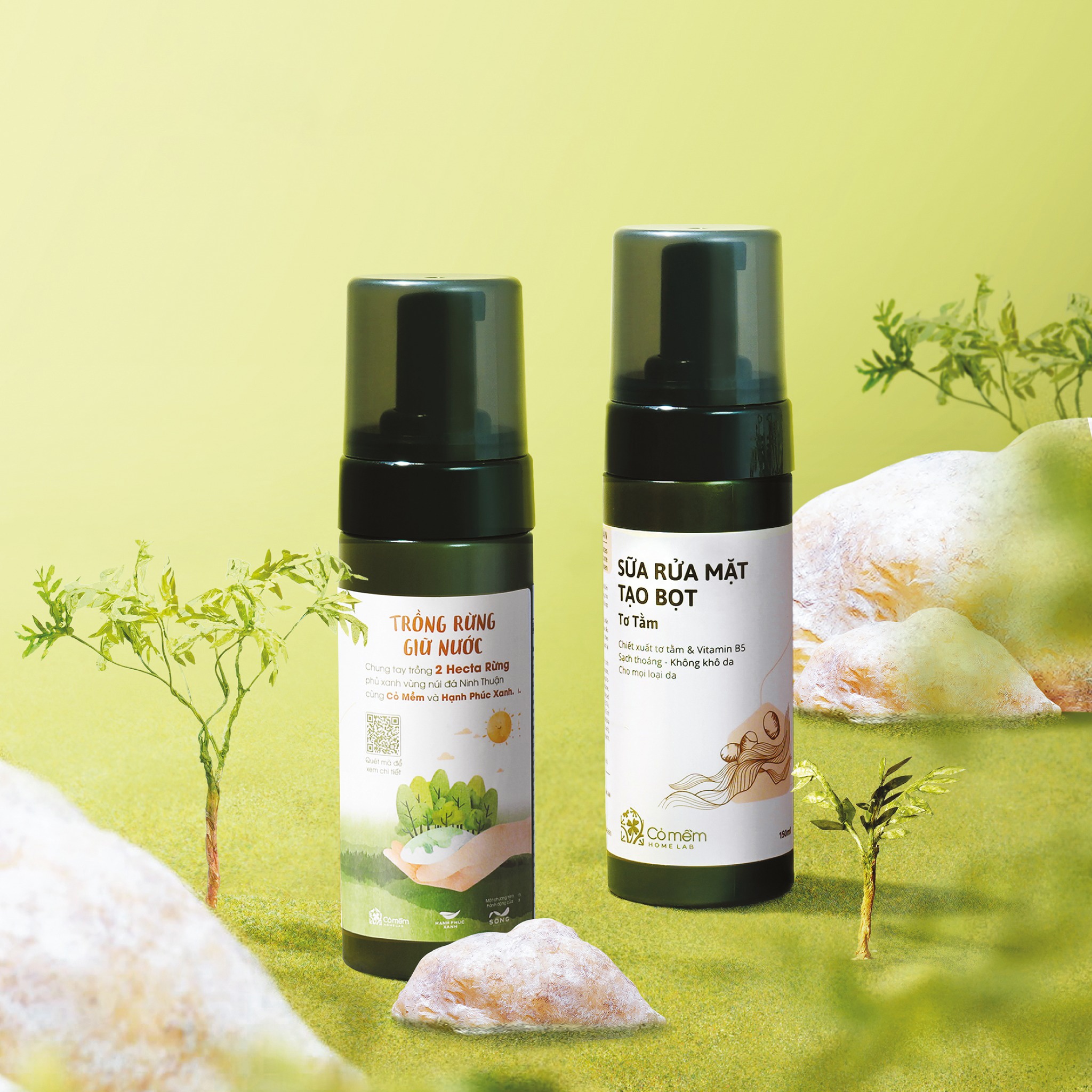 Trồng rừng Ninh Thuận ảnh 5 Trong rung Ninh Thuan anh 5