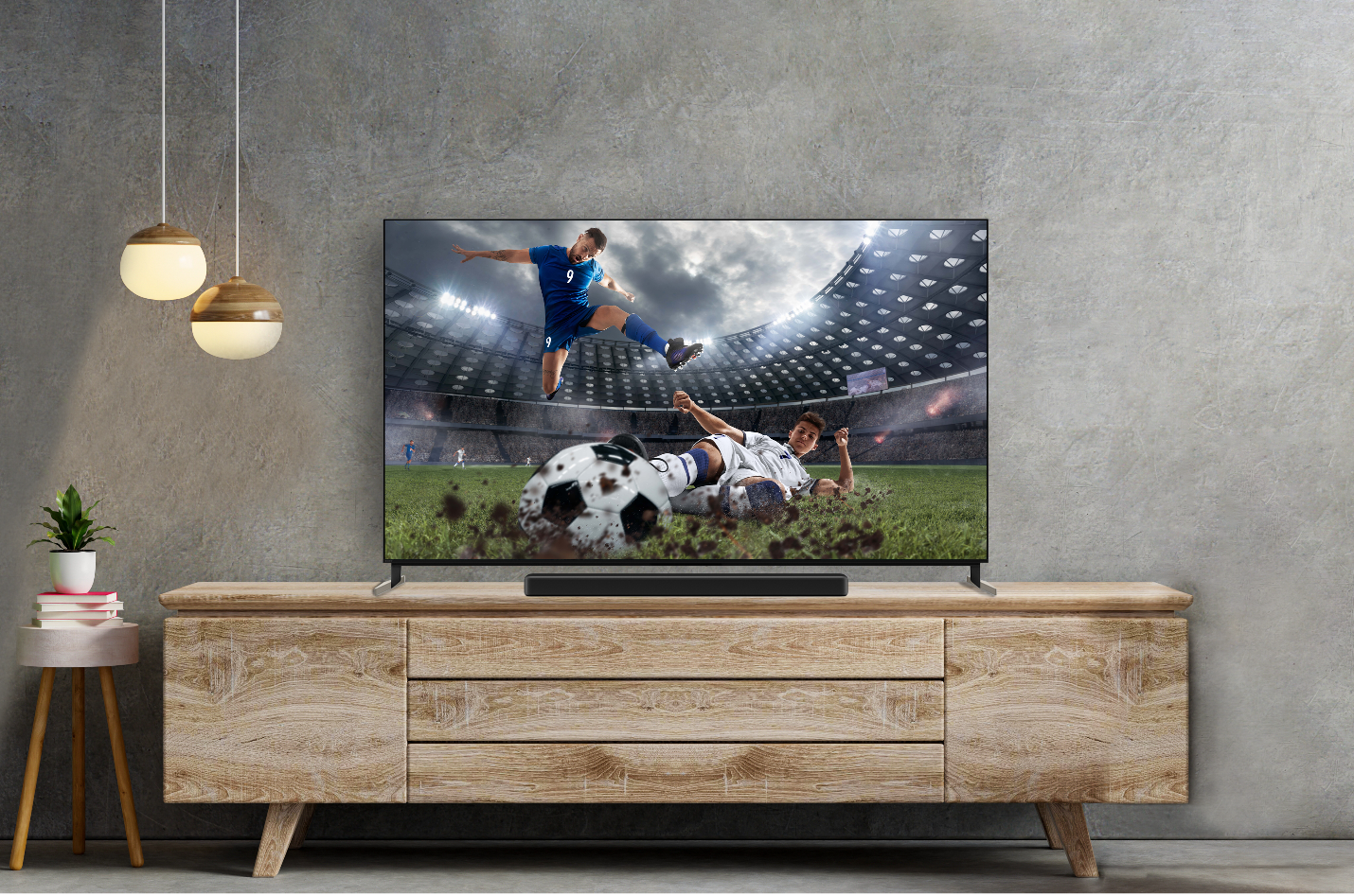 TV Bravia,  Sony anh 3