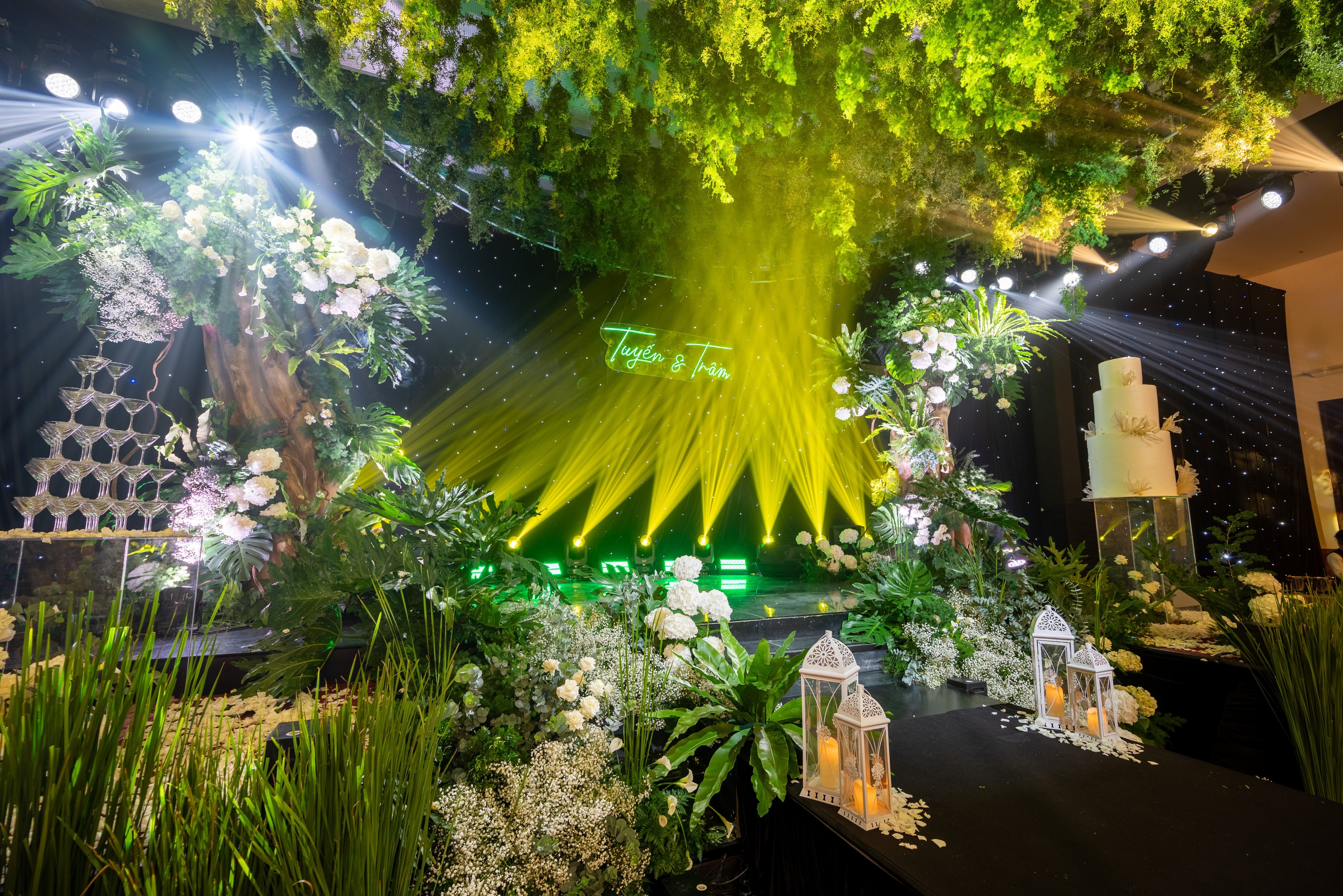 Vạn Lộc Phát ảnh 6 Van Loc Phat anh 6