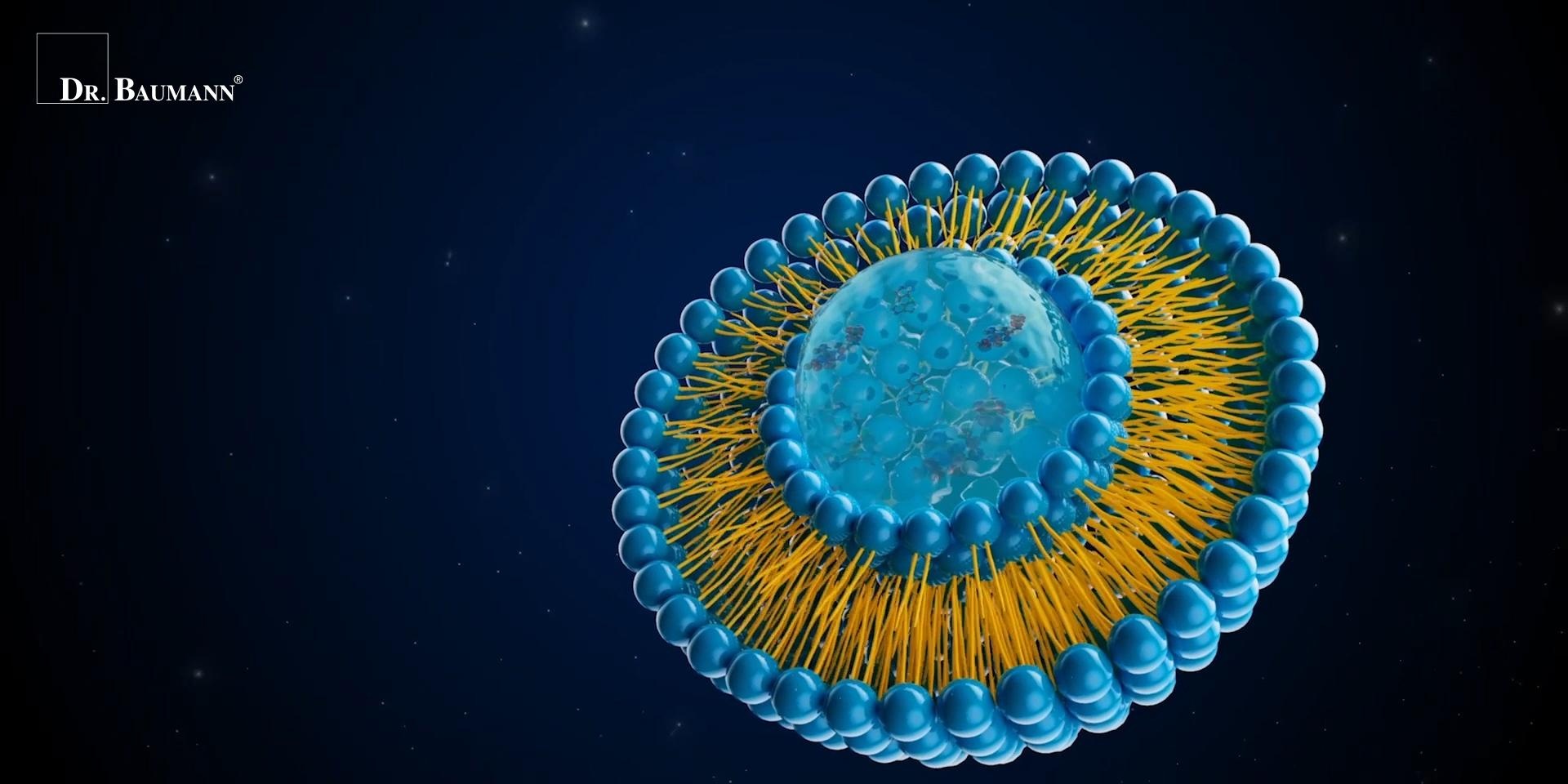 my pham D&D,  Dr.Baumann anh 1