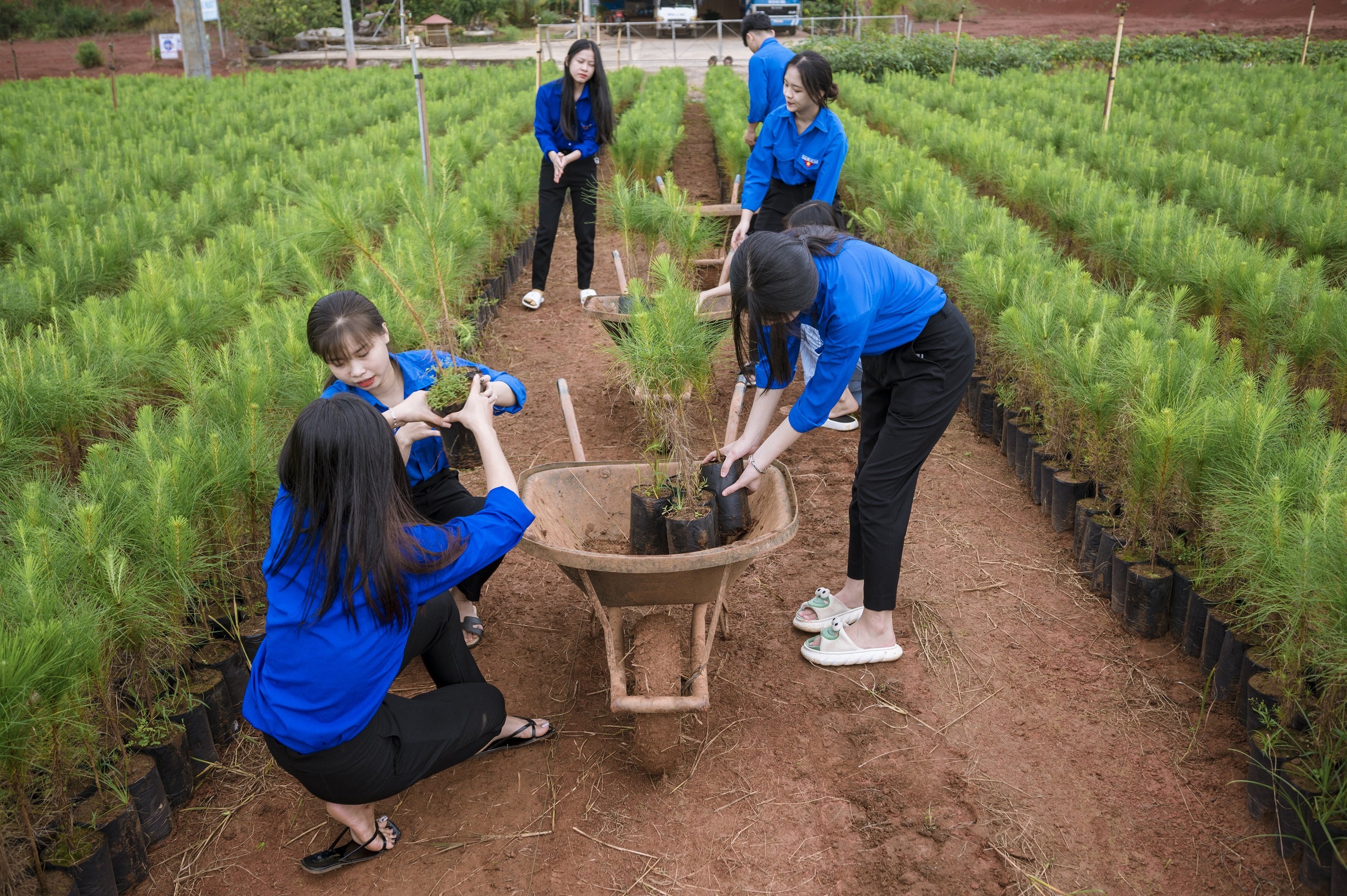 Suntory PepsiCo Viet Nam anh 3