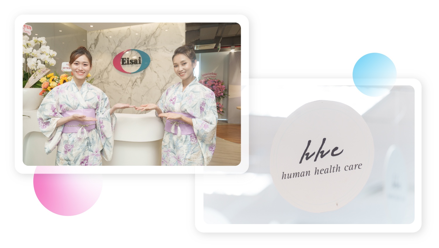 Eisai ảnh 1 Eisai anh 1