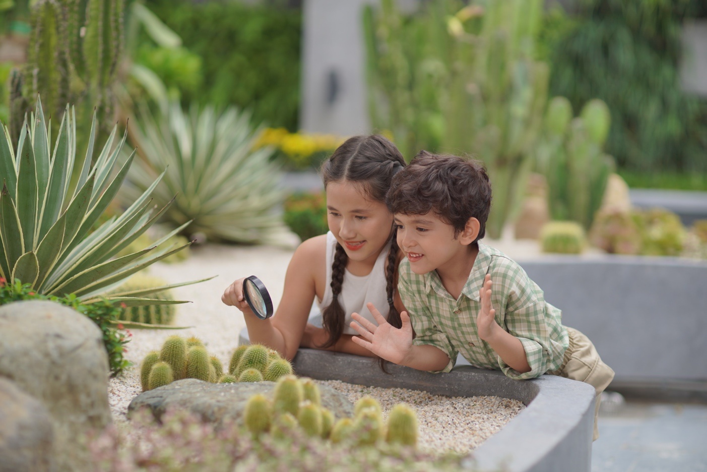 Can ho cao cap khan hiem voi gia tri 'leo thang' hinh anh