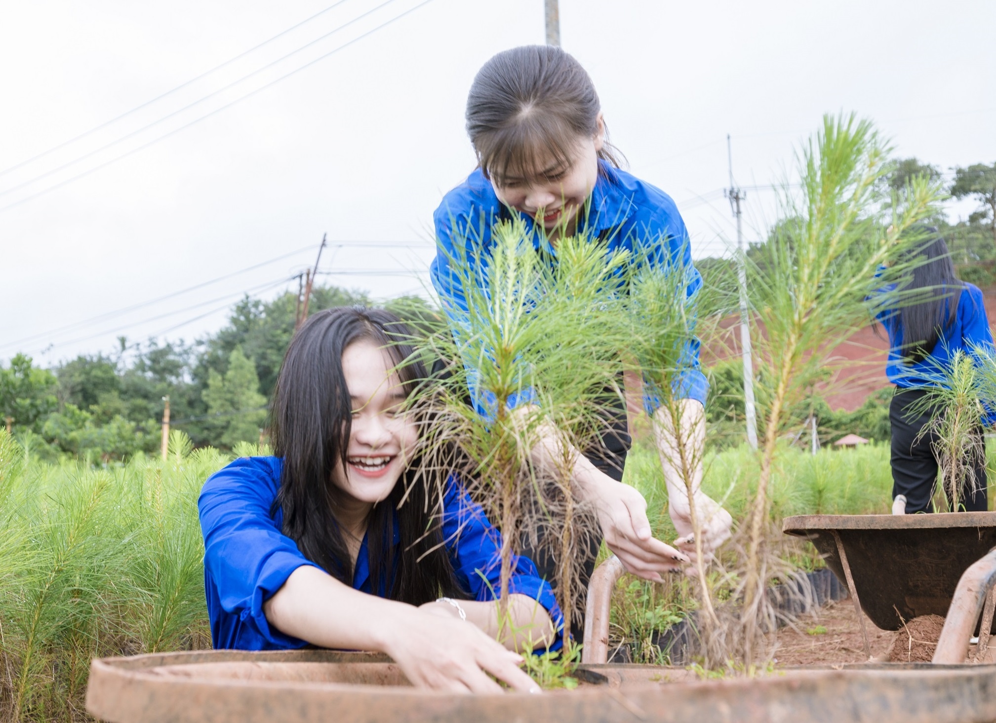 Hanh trinh trong rung giu nuoc nam 2022 cua ‘Trieu cay xanh’ hinh anh