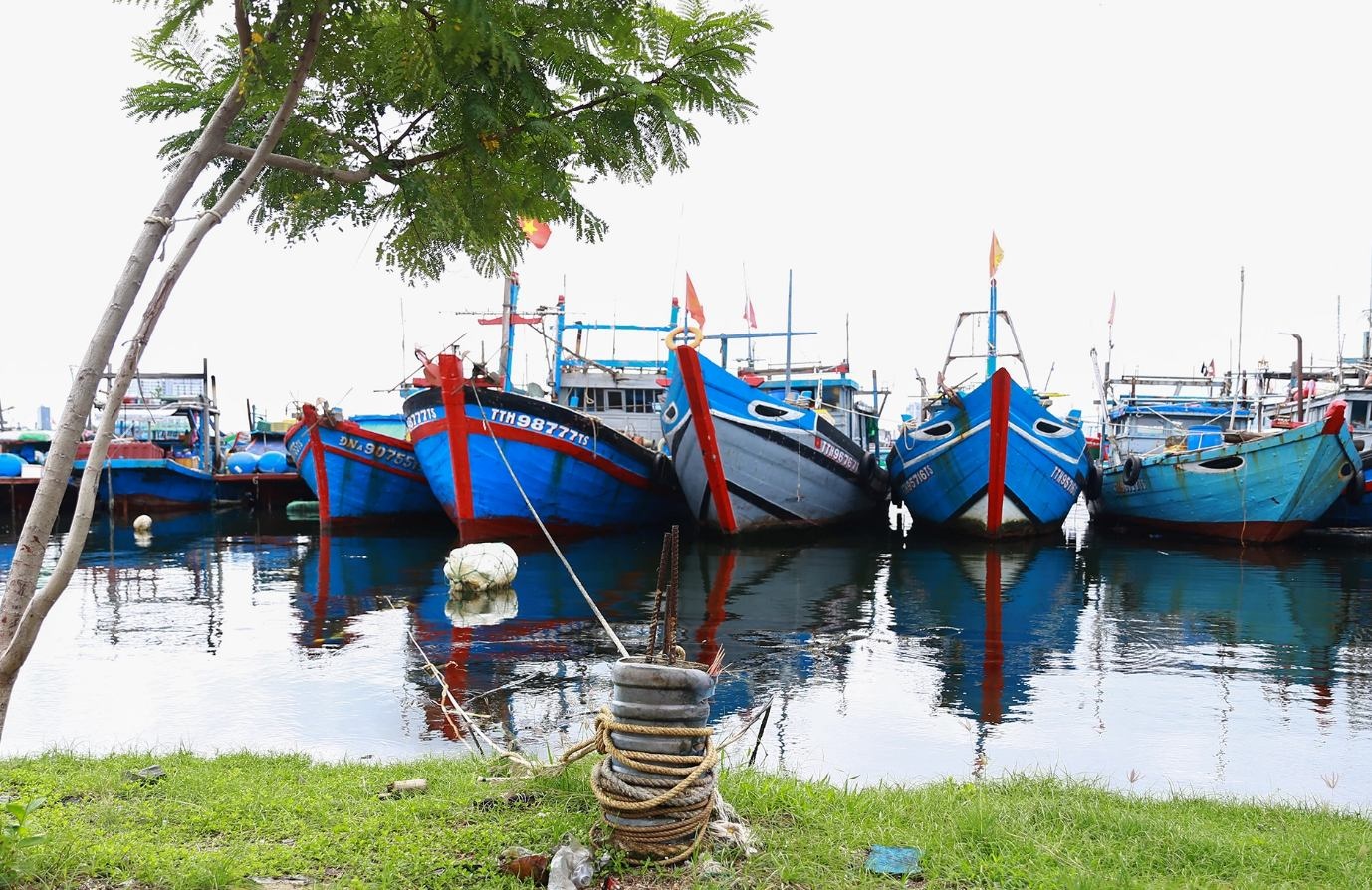 Theo doi tin khan ve bao Noru qua Zalo chinh thuc cac tinh mien Trung hinh anh