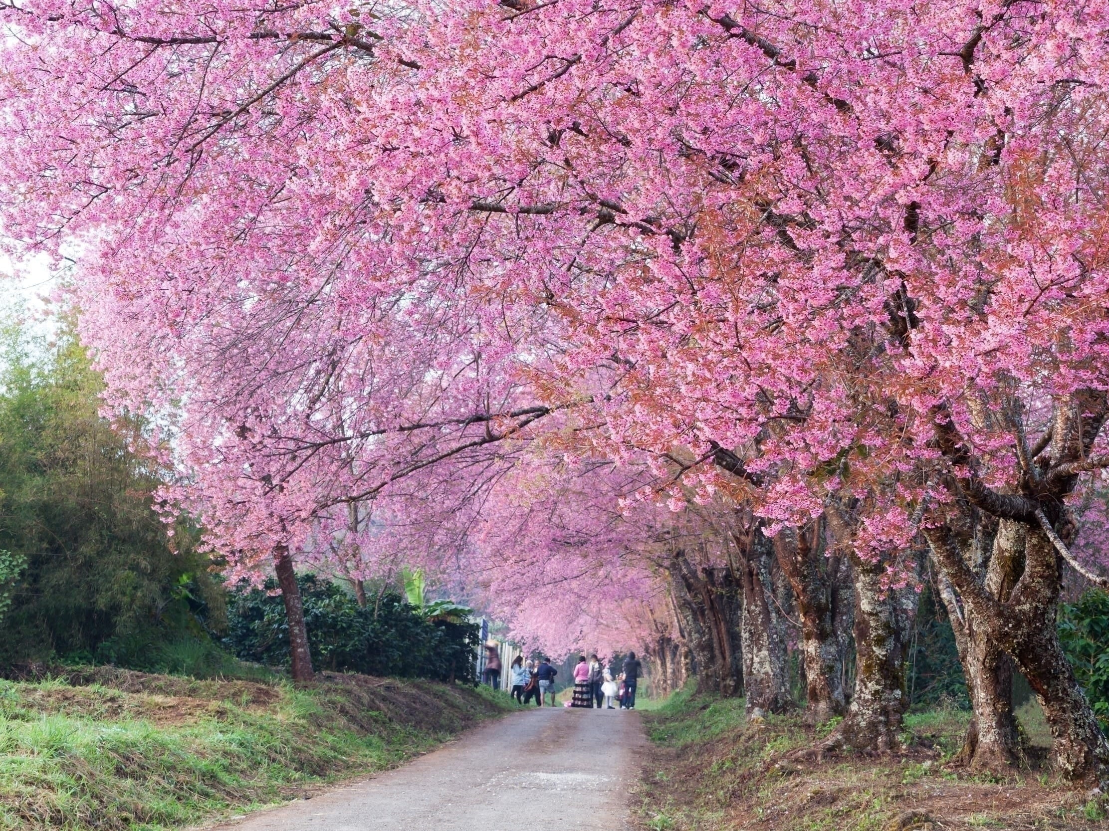 Vietjet,  ve may bay anh 9