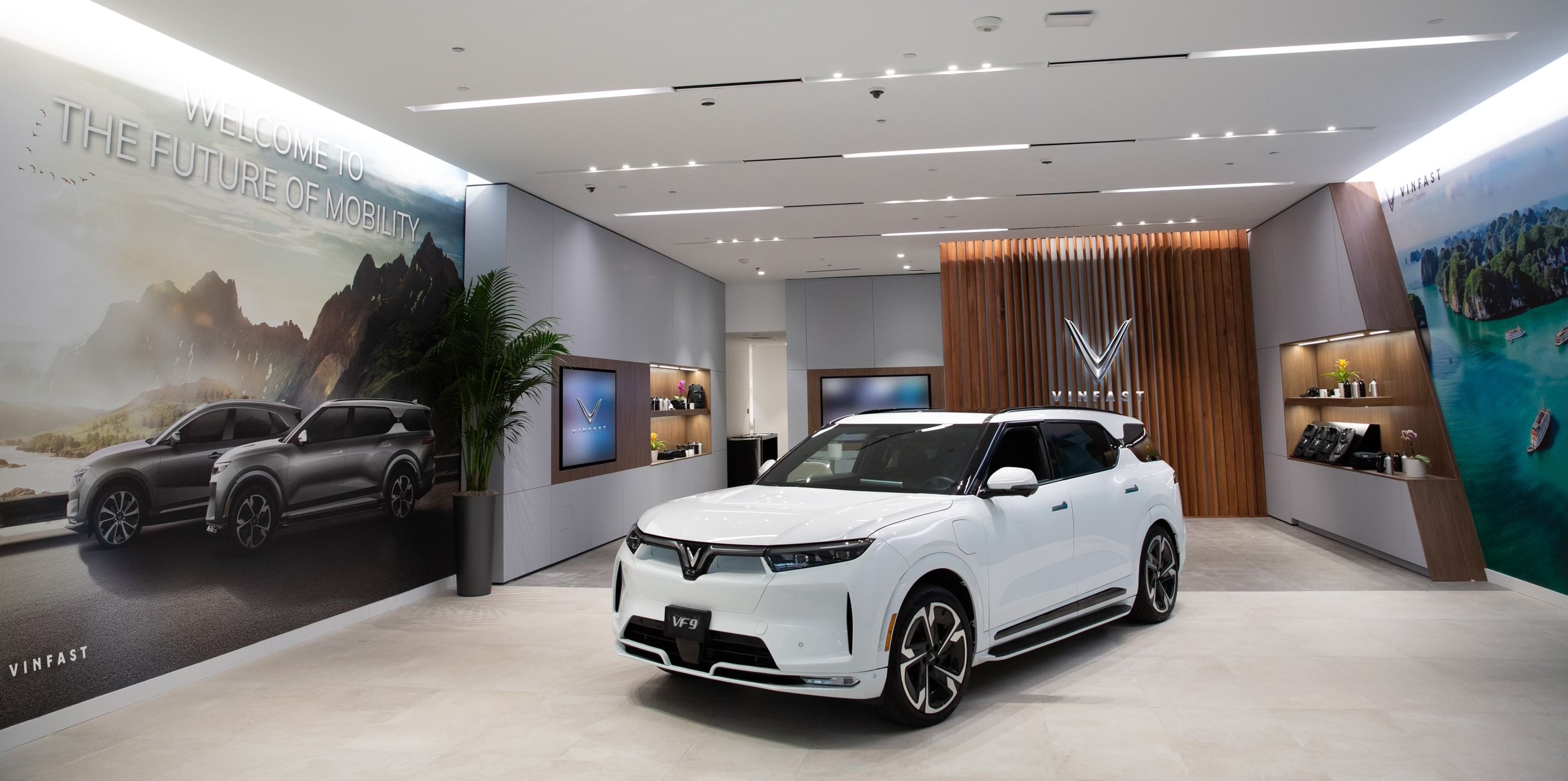 VinFast VF e34,  VinFast VF 8 anh 4