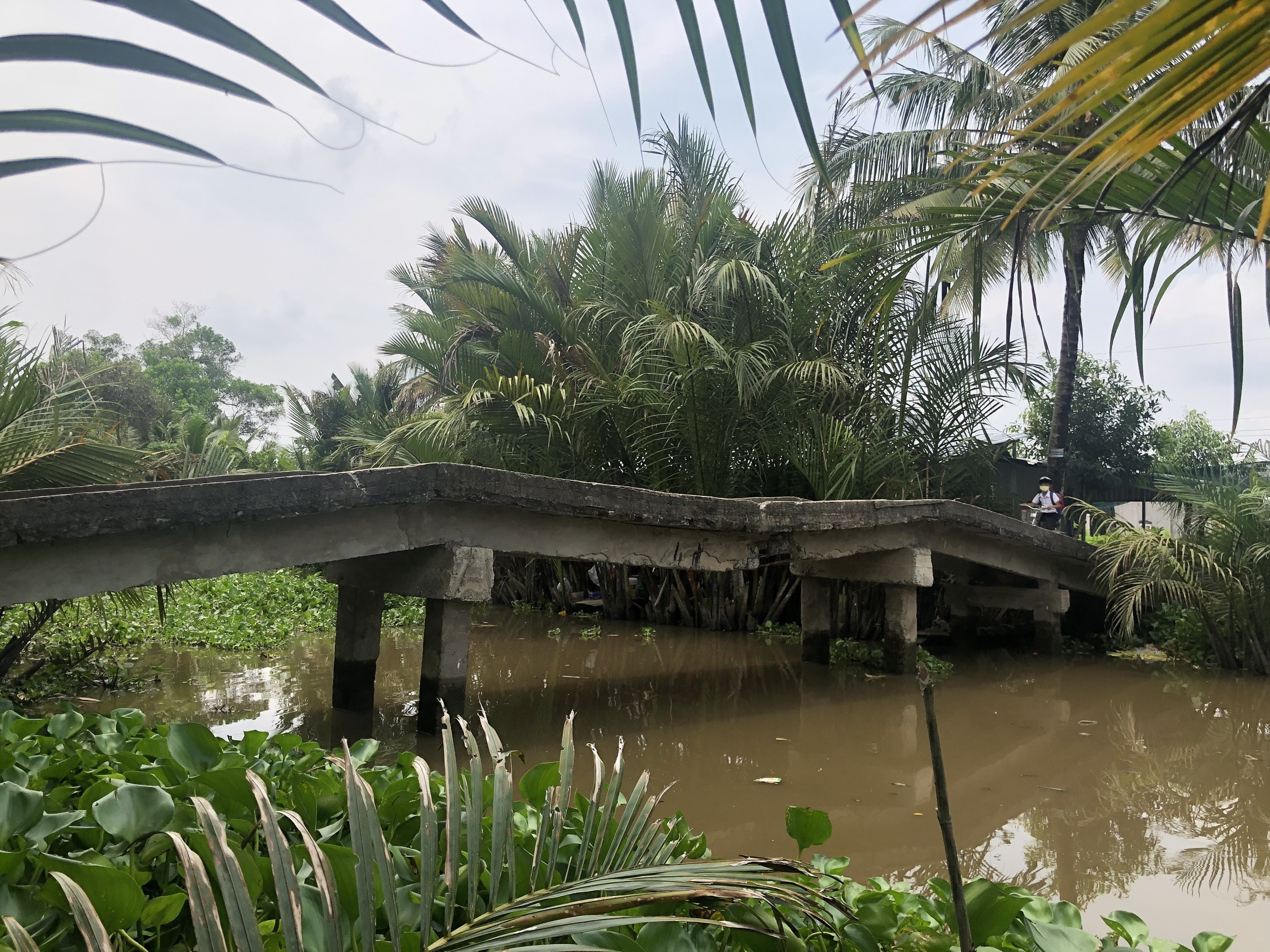 Quỹ Nam Phương ảnh 1 Quy Nam Phuong anh 1
