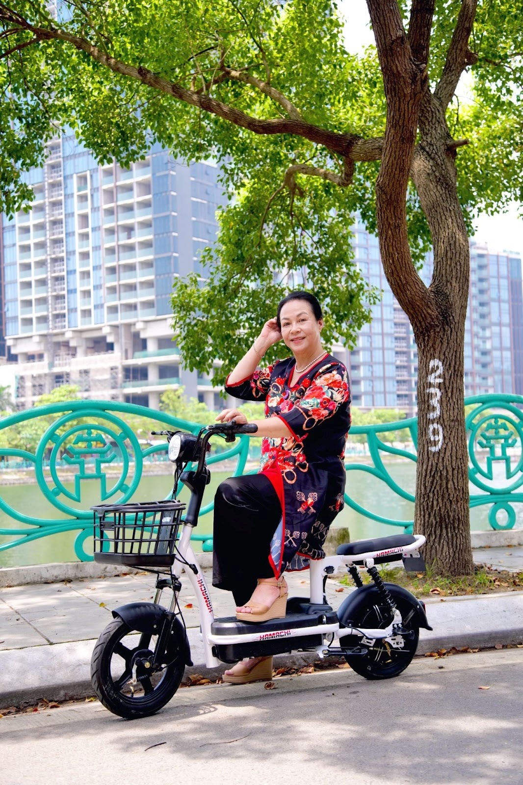 xe dien Hamachi anh 3