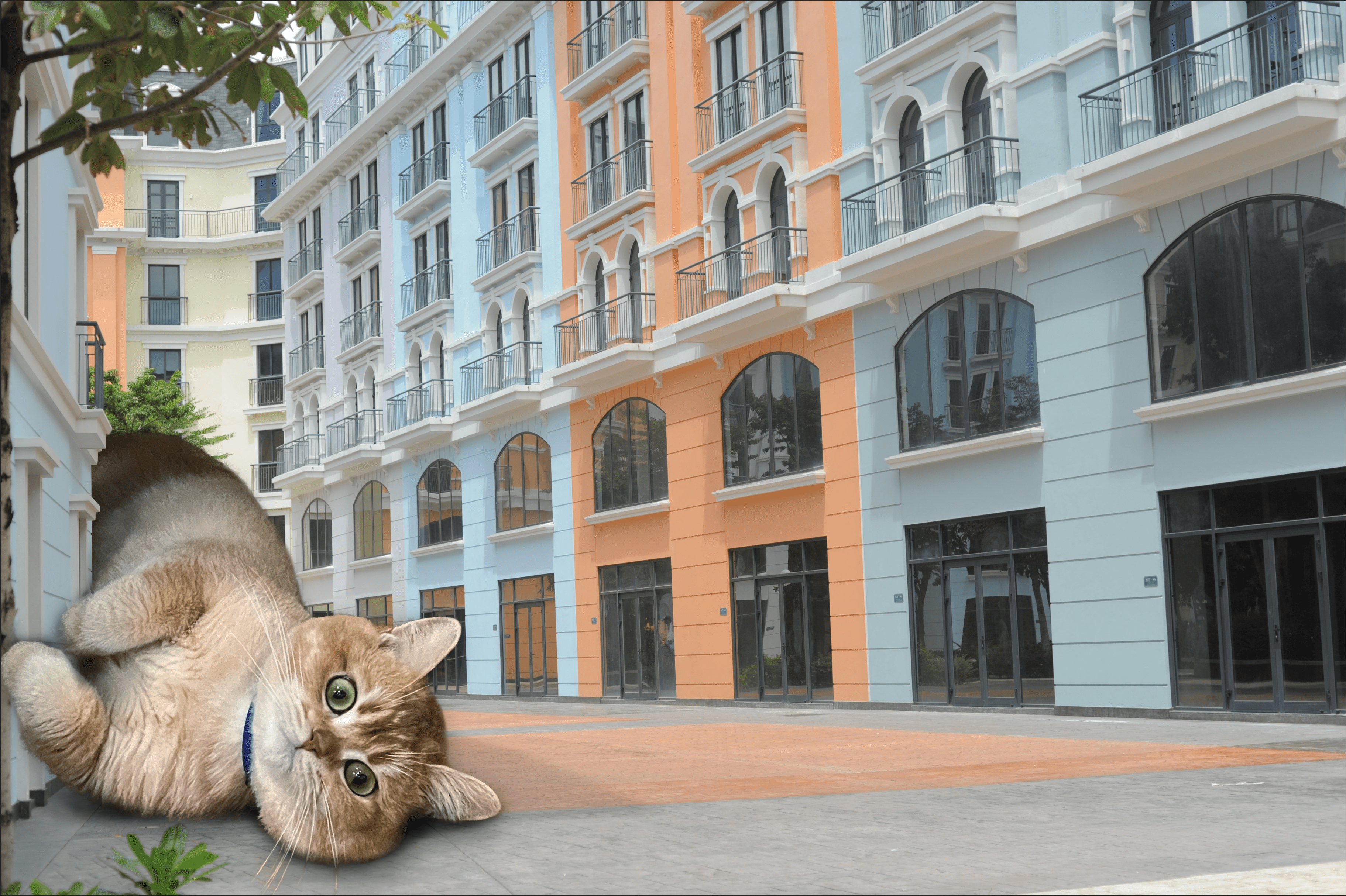 Phu Quoc Marina anh 10