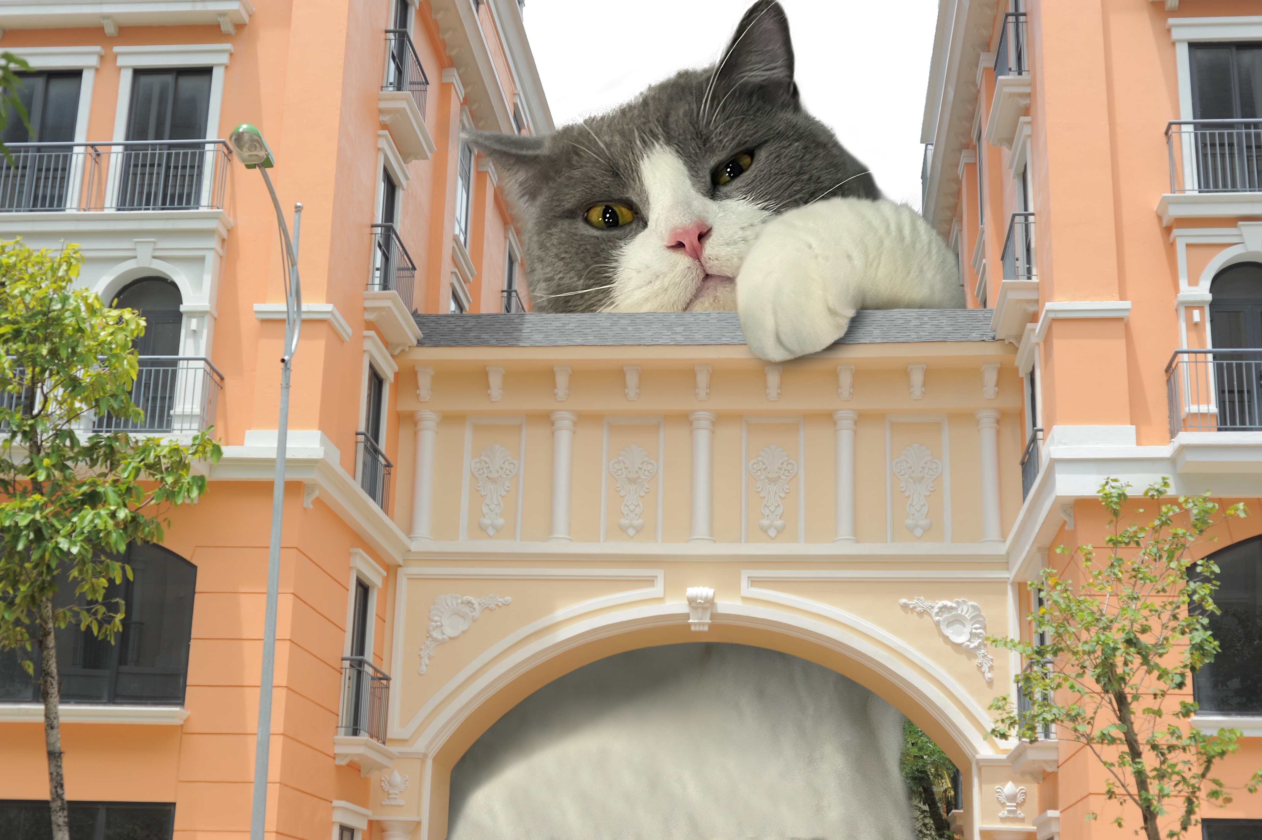 Phu Quoc Marina anh 11