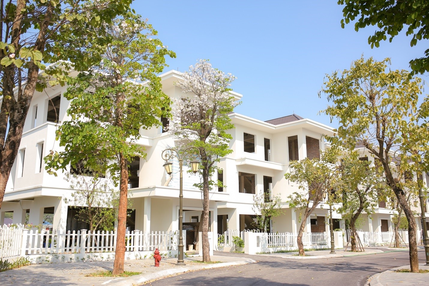 Phoenix Legend Ha Long Bay anh 2