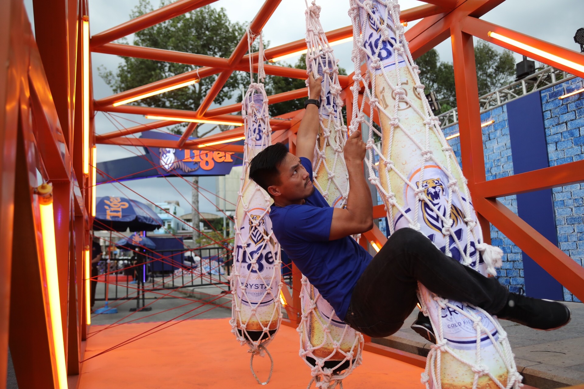 Thanh Vu,  Tiger Arena anh 6