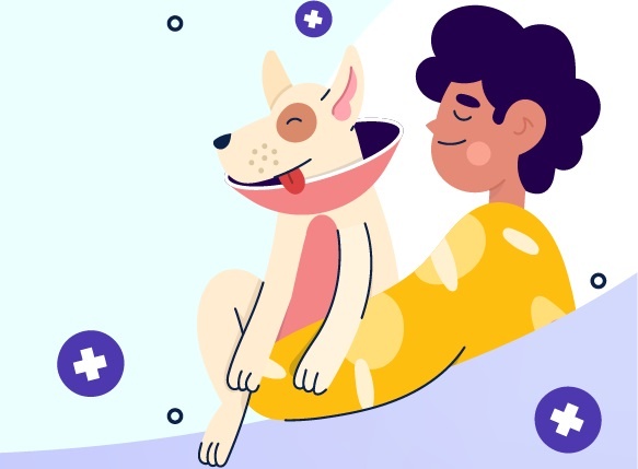 Viet Nam cung the gioi trong no luc cham dut benh dai tu nam 2030 hinh anh