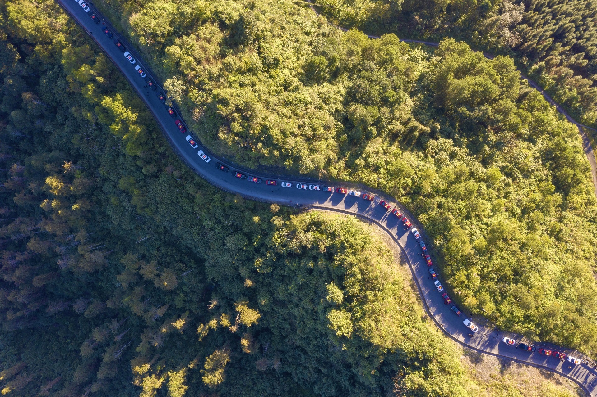 Cong dong VinFast anh 2