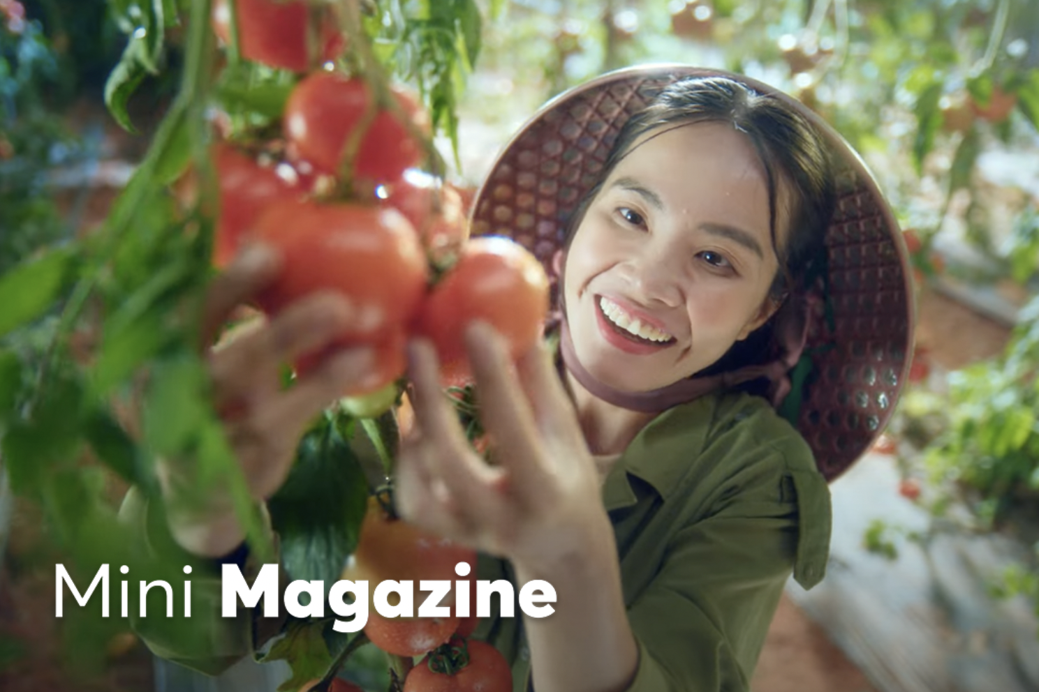 Bao quan thit ca va rau xanh the nao de giu duoc vi nguyen ban? hinh anh