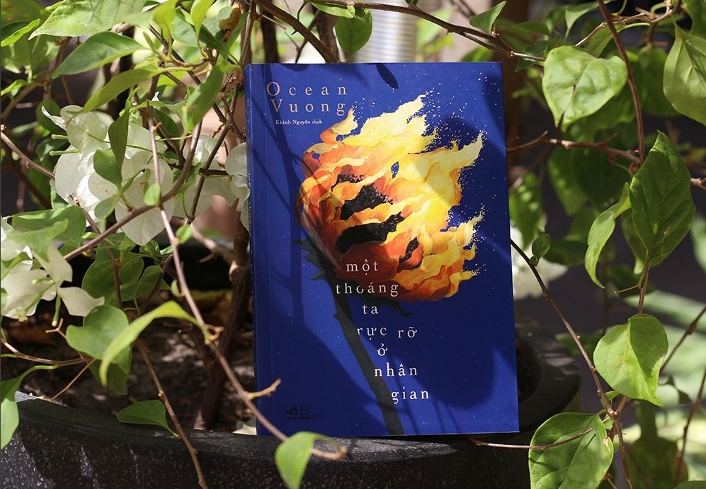 Nhung tua sach goi dau giuong giup khoi day nang luong tich cuc hinh anh