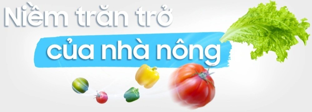Tu lanh Samsung anh 2