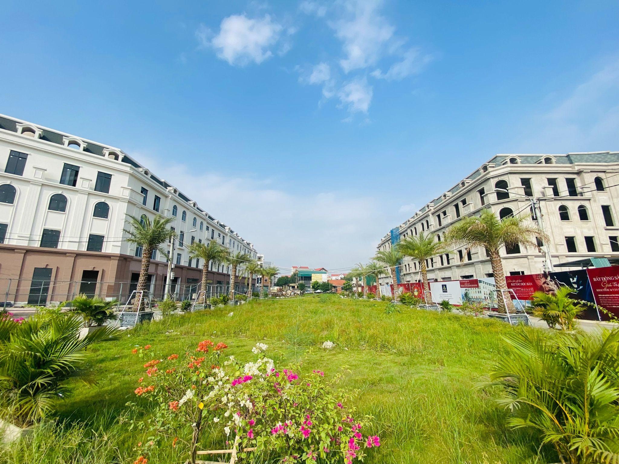 HTL Viet Nam,  An Phat anh 3