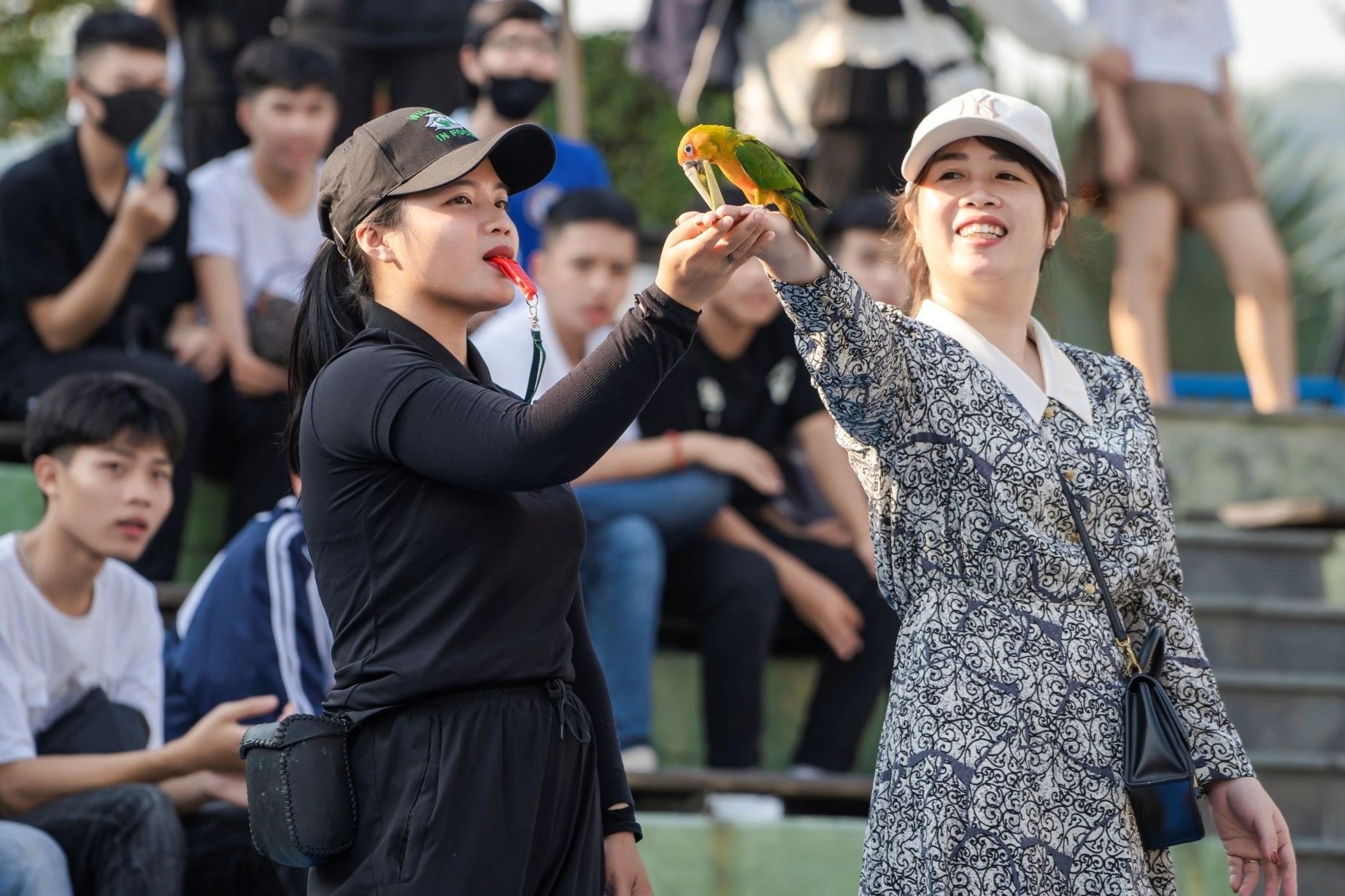 Cong vien Dragon Park ra mat show chim, giam gia ve con 100.000 dong hinh anh
