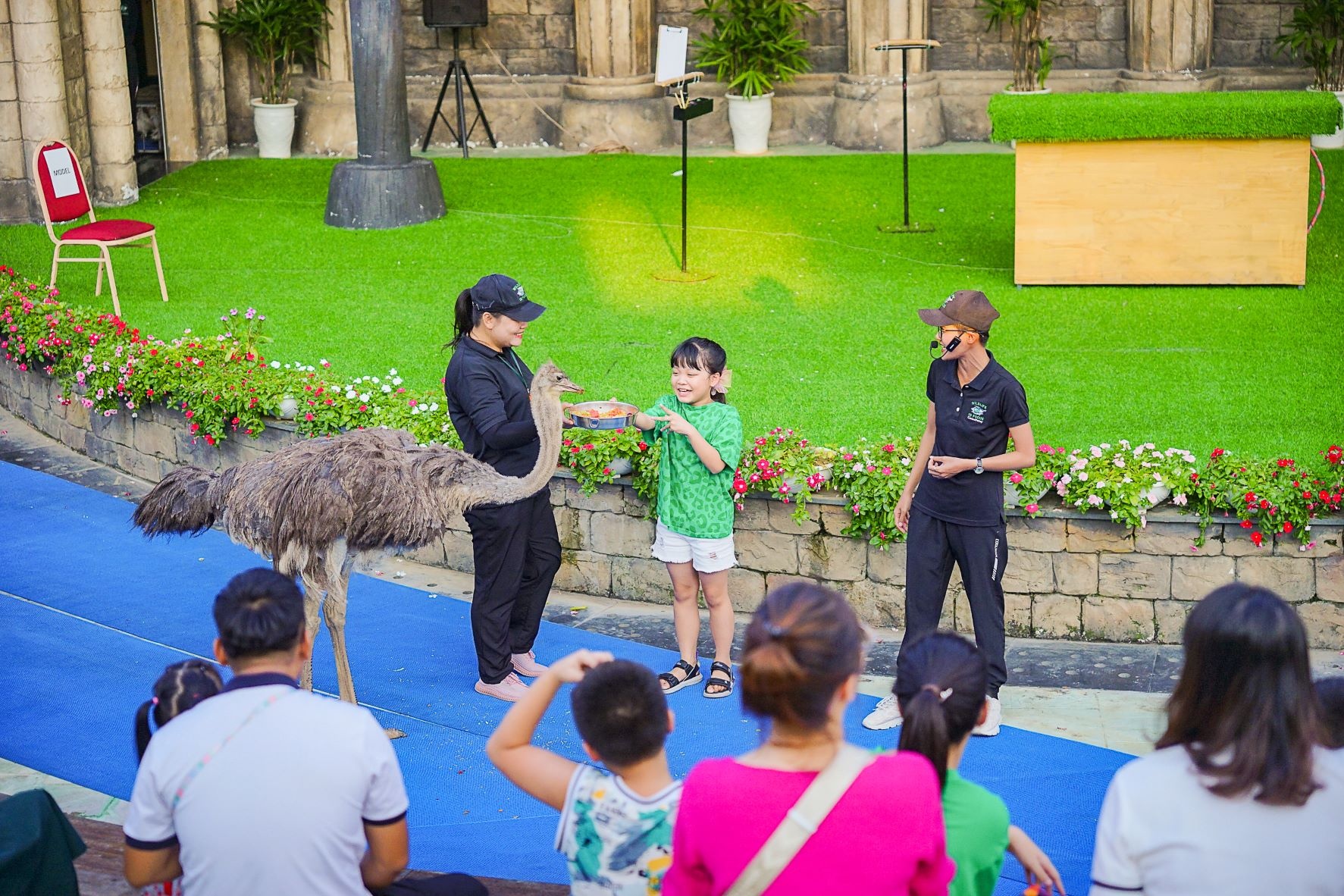 Show chim tai Dragon Park anh 1