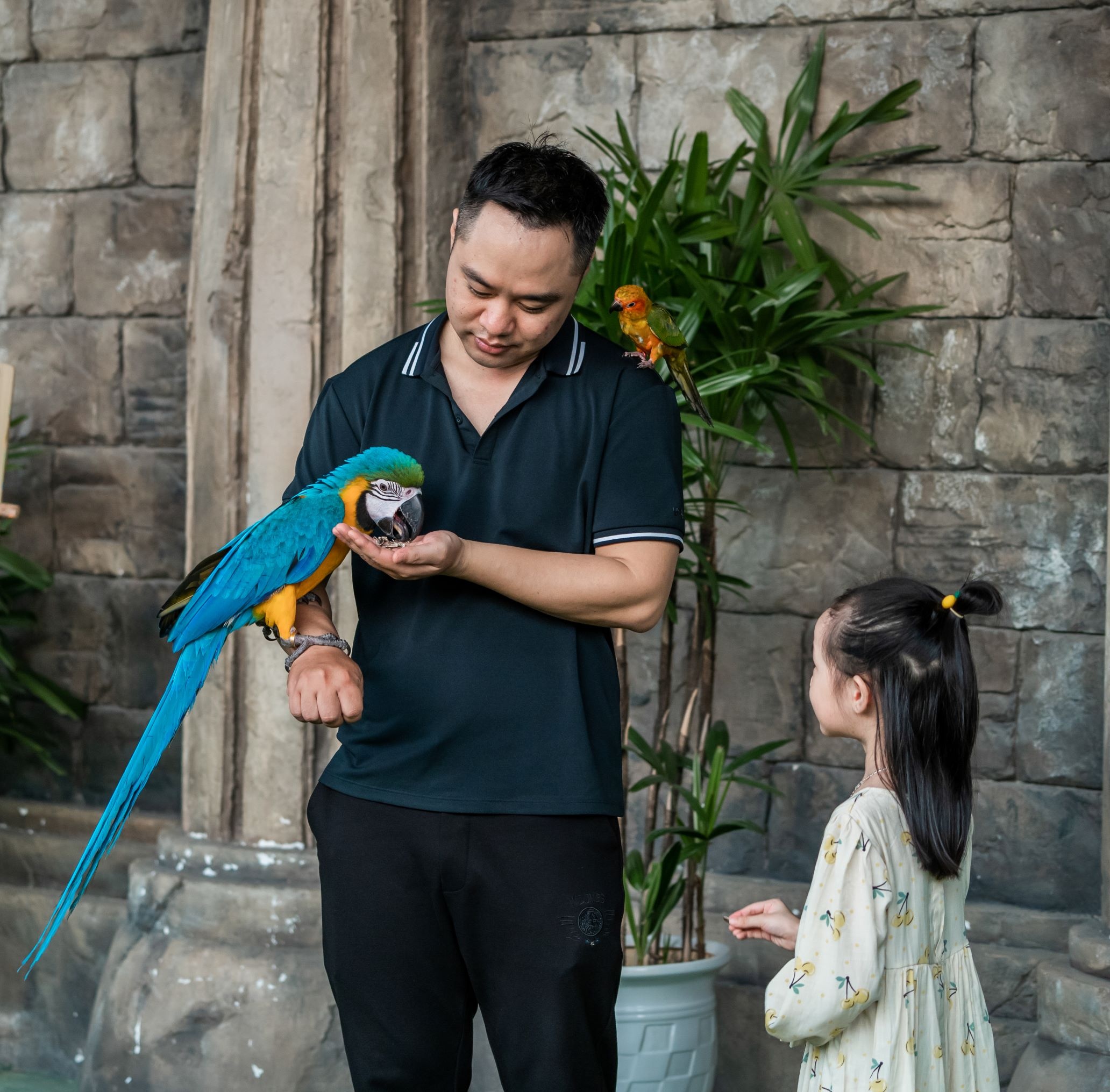 Show chim tai Dragon Park anh 3