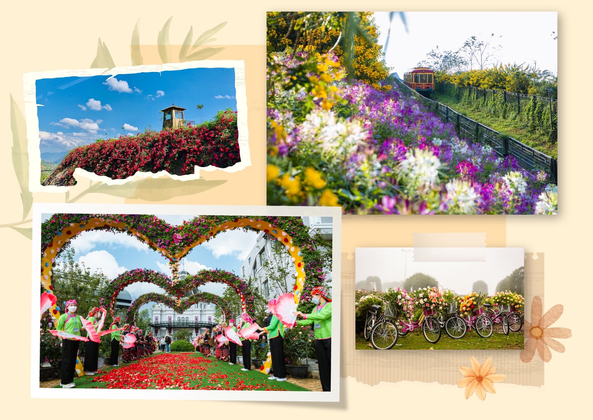 Sun Group ảnh 4 Sun Group anh 4