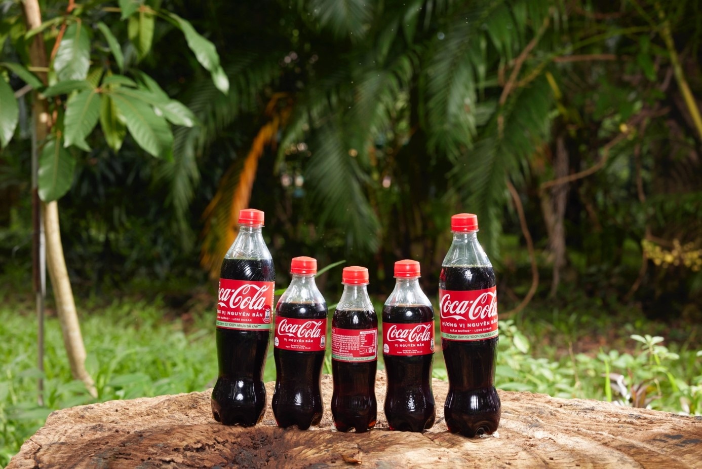 chai Coca-Cola tai che anh 2