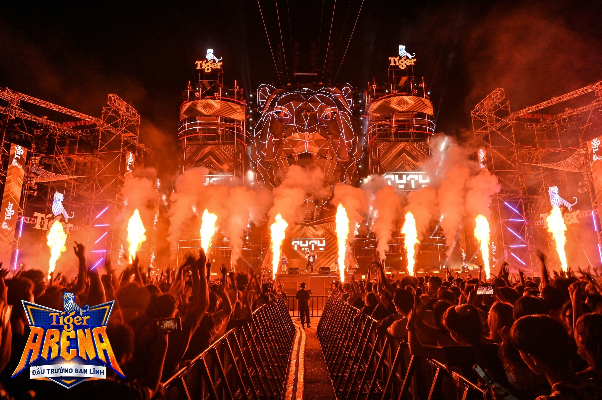 Tiger Arena anh 9