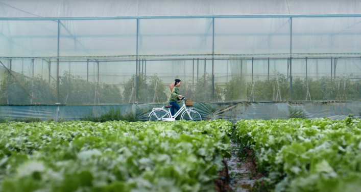 tủ lạnh Samsung ảnh 2 tu lanh Samsung anh 2