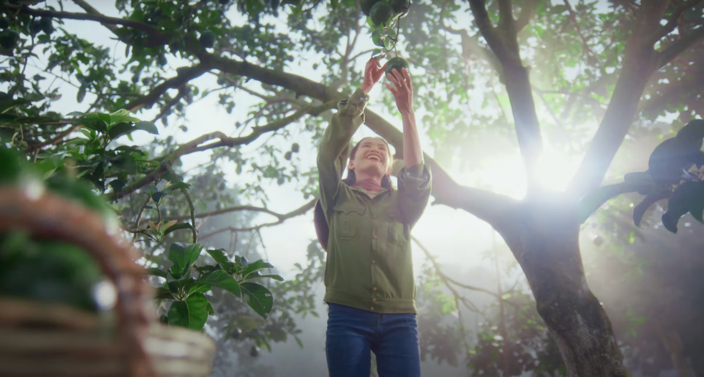 tủ lạnh Samsung ảnh 4 tu lanh Samsung anh 4