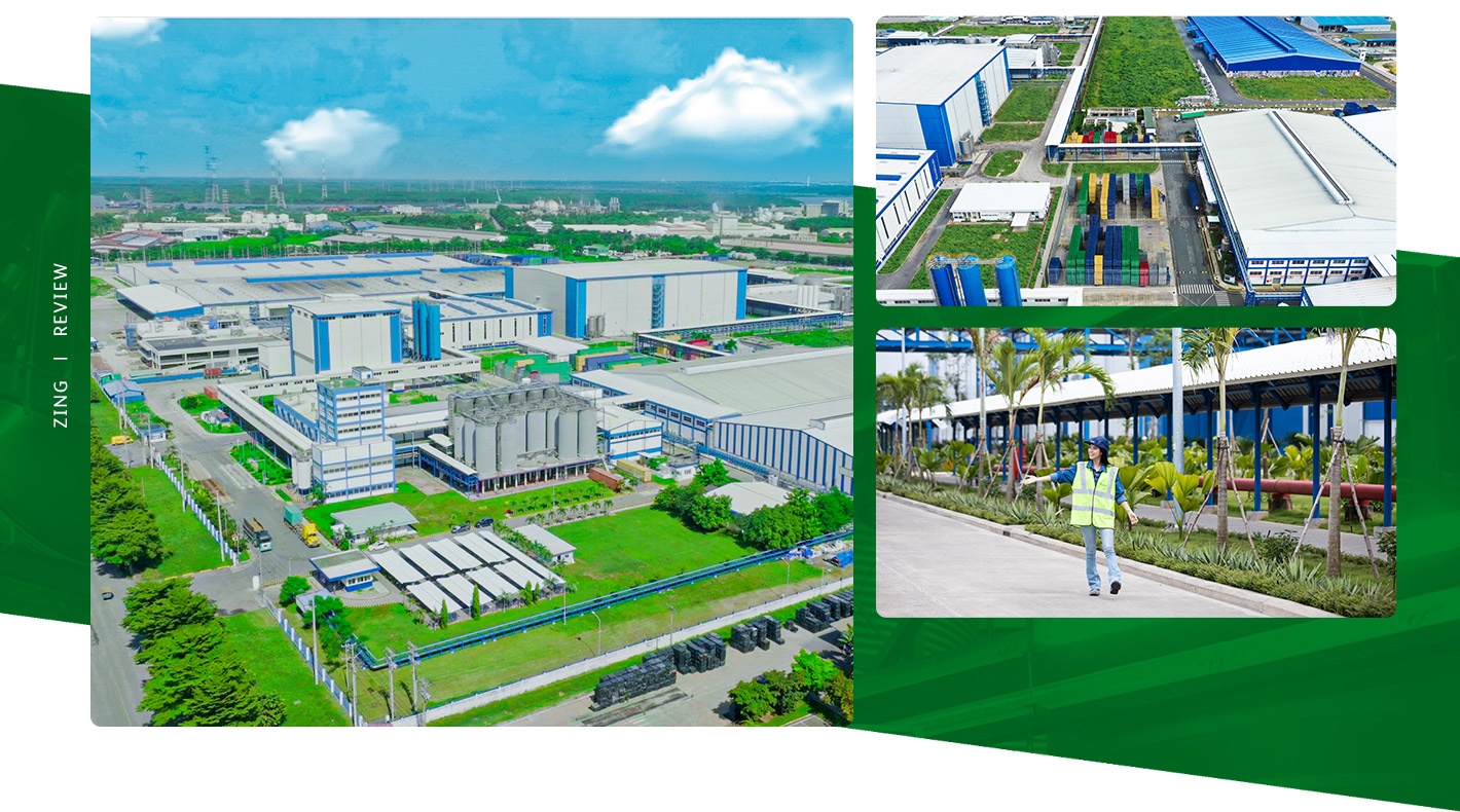 Heineken Vung Tau anh 7