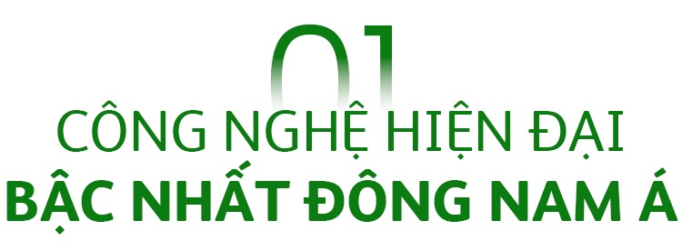Heineken Vung Tau anh 1