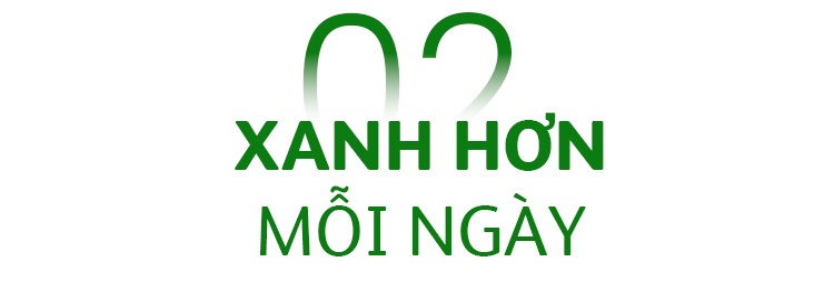 Heineken Vung Tau anh 6