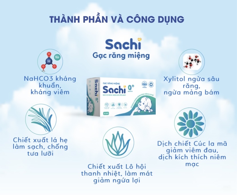 Sachi anh 3