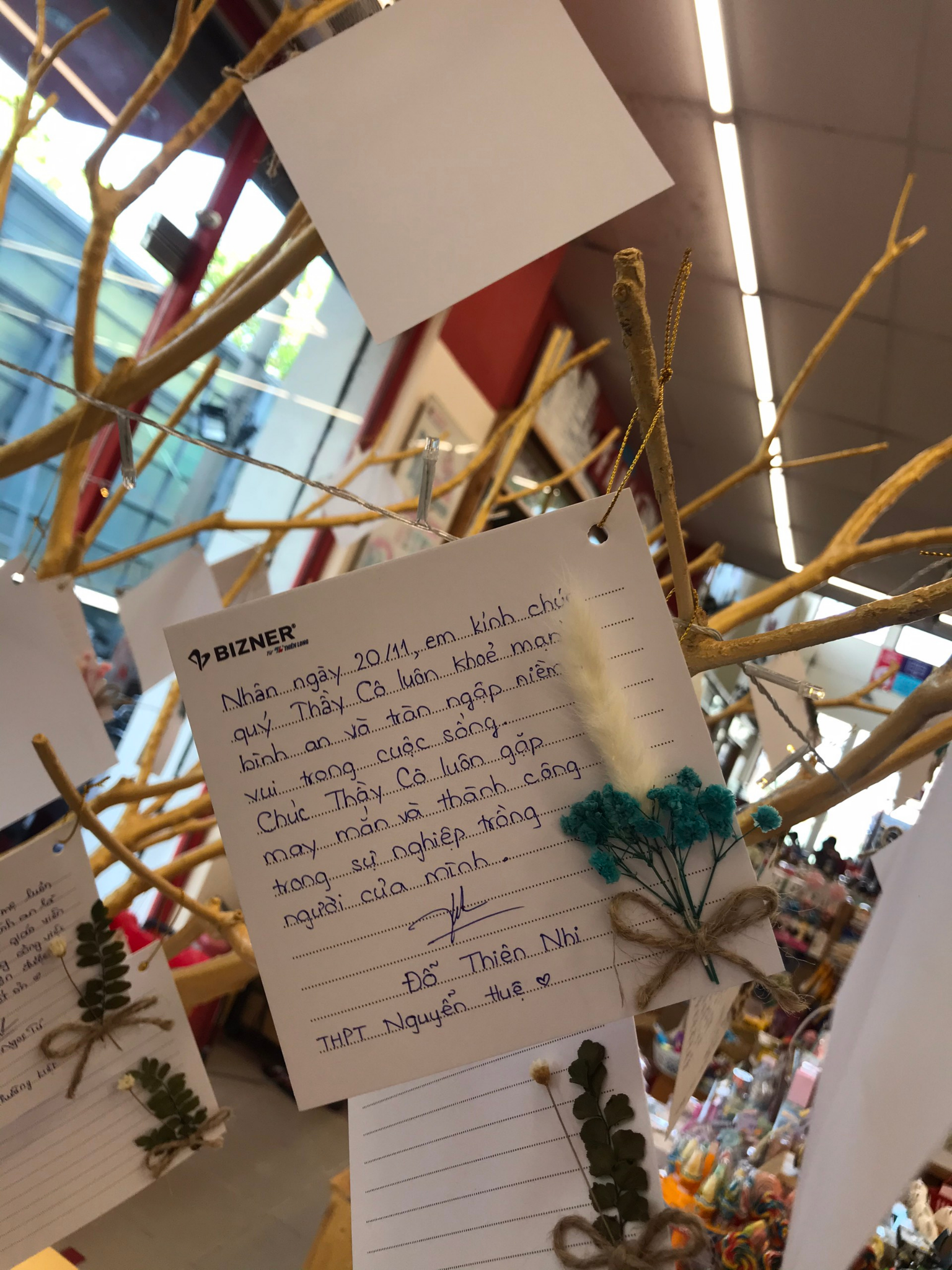 Bizner,  Thien Long anh 4