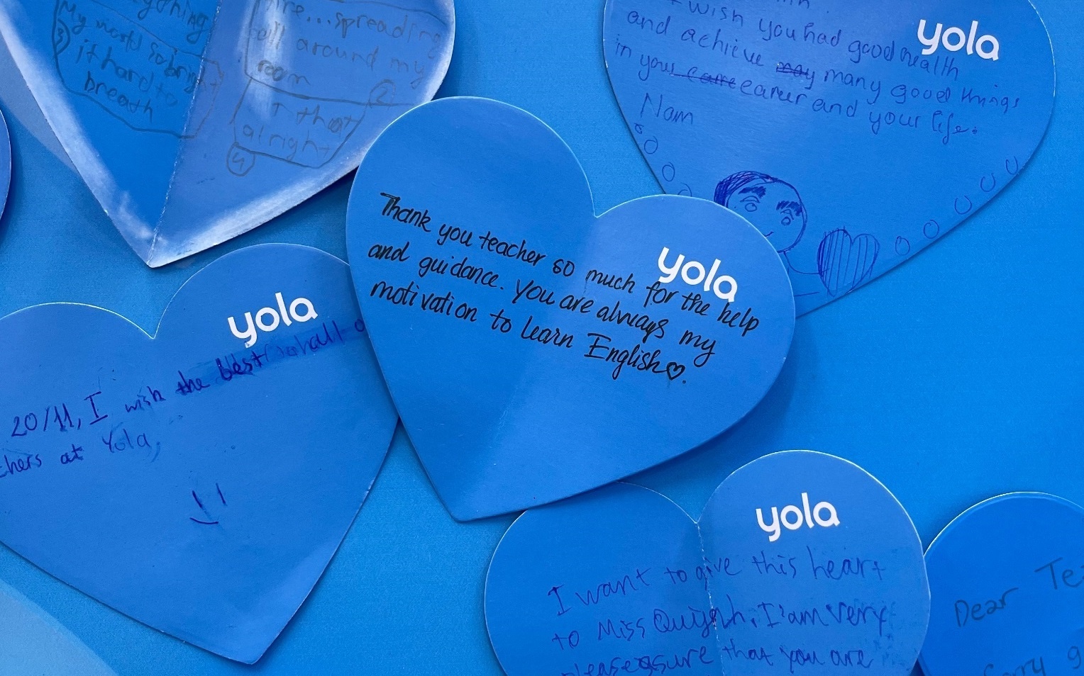 YOLA nuoi duong long biet on bang hoat dong tri an dip 20/11 hinh anh