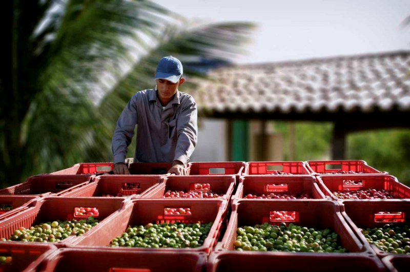 9 buoc tao ra Nutrilite - thuc pham bo sung ban chay hang dau the gioi hinh anh