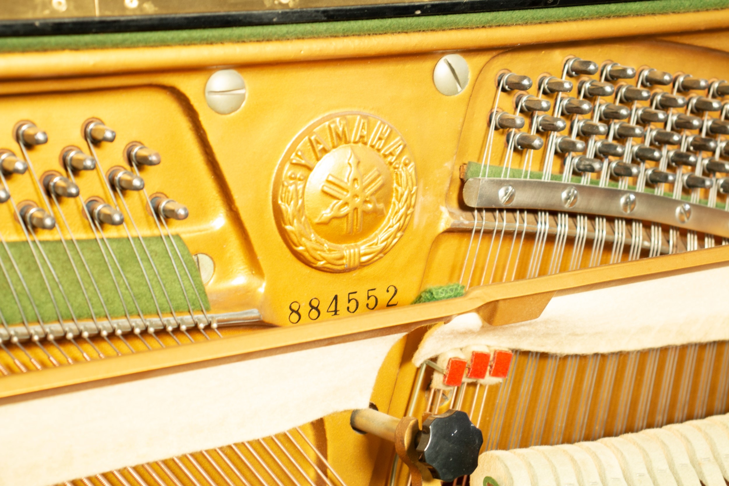 Nhac cu Minh Phung anh 1